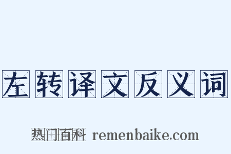 左转译文反义词是什么意思的图片